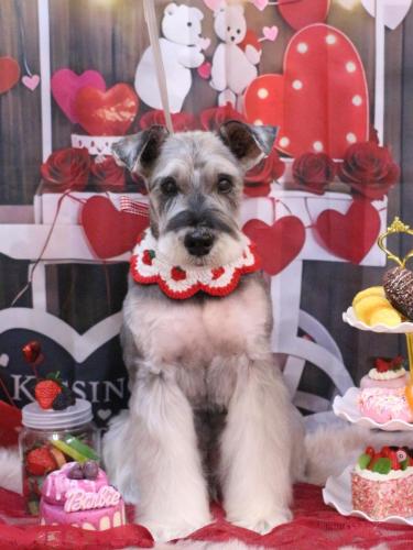 20250215小鉄くん